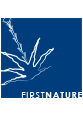 First Nature